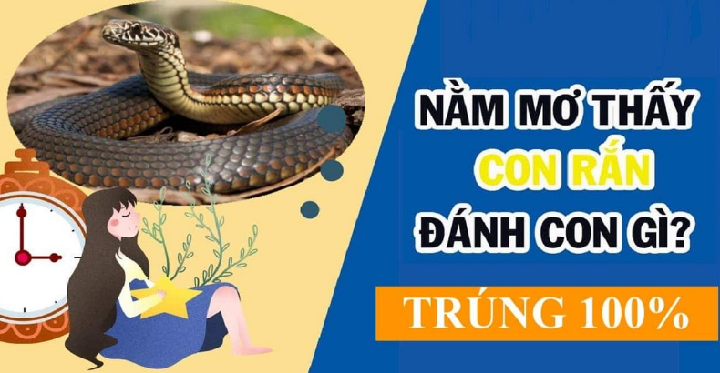 mơ thấy rắn là số mấy