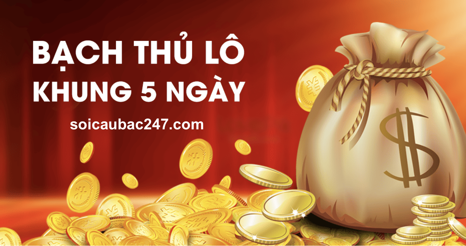 nuôi bạch thủ lô khung 5 ngày