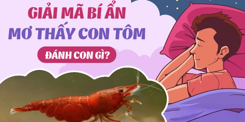 mơ thấy con tôm đánh số gì